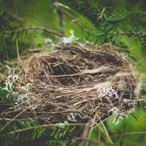 We need to develop a closed loop system and learn from the birds—no bird fouls its own nest.