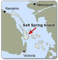 Saltpring Island Map
