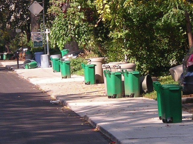 Green bins along the roadside in Toronto