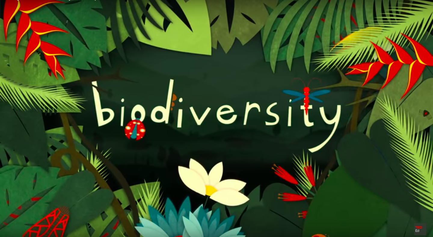 What Is Biodiversity And Why Is It Important CRC Research