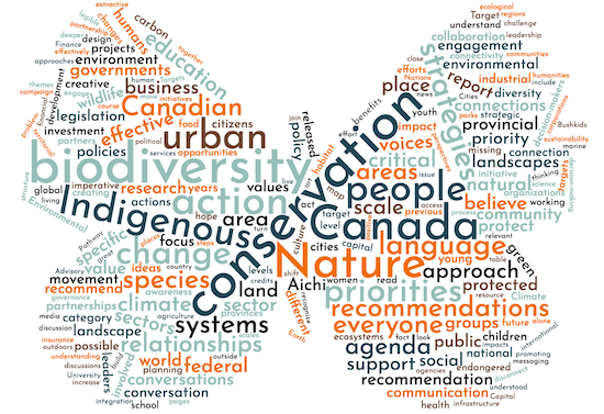 Biodiversity Conversation, Where do we go from here