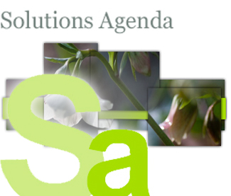 The Solutions Agenda
