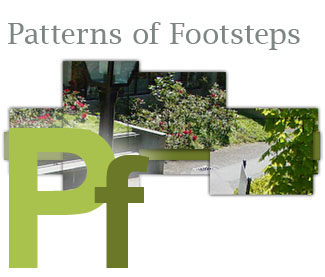 Patterns of Our Footsteps