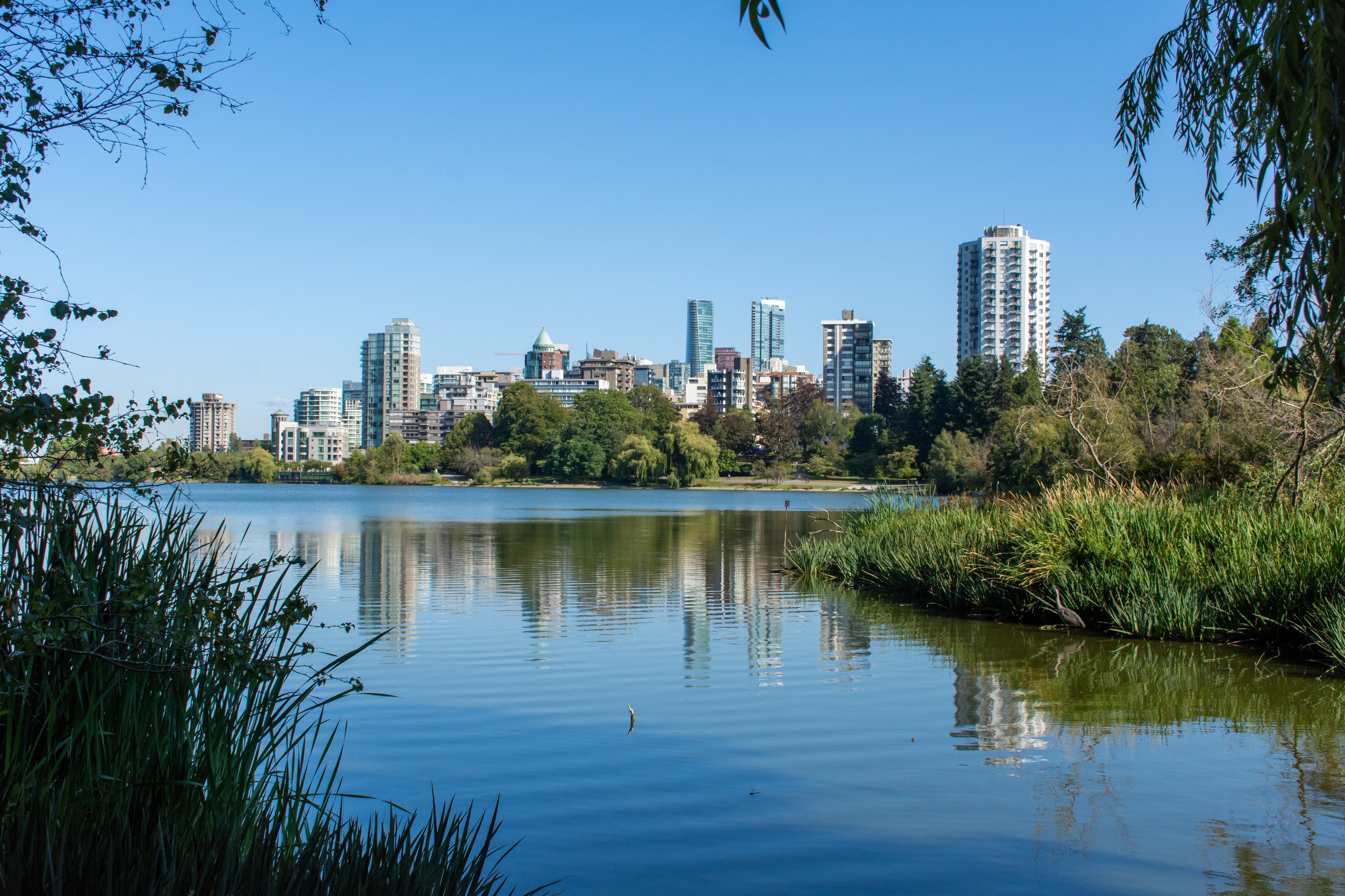 Стэнли парк ванкувер. Стэнли парк ванкувер фото. Stanley park is a. Stanley park is a. Stanley park is a.