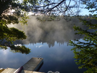 Sunny view of a lake
