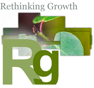 Rethinking Growth