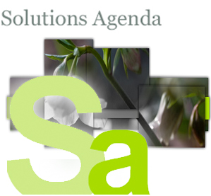 Solutions Agenda