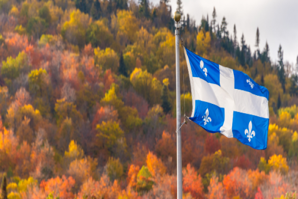 Quebec flag in the wind with fall trees