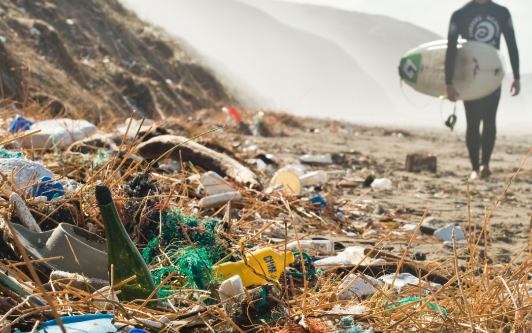 Surfers Against Sewage.png