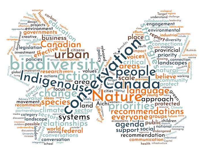 Biodiversity Conversation Word Cloud