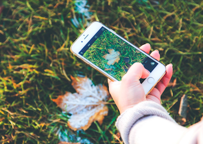 Phone and leaf