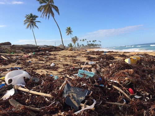 The Great Pacific Garbage Patch is 16% larger than originally thought!