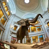 The highly-anticipated exhibit, Deep Time, illuminates how “Earth’s distant past is connected to the present and informs our future”.