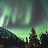 Northern lights in the Yukon