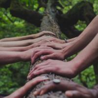 Hands on a tree