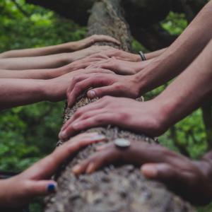 Hands on tree