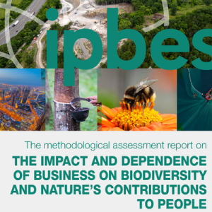 IPBES Business and Biodiversity Report Cover