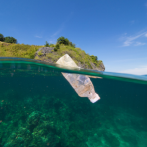 plastic water bottle in ocean