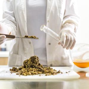 Person working with food in a lab