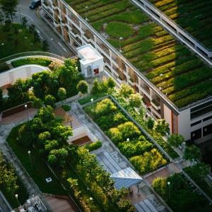 Green roof