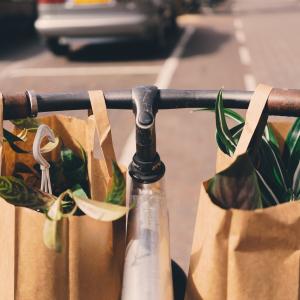 Paper Bags