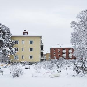 Sweden in winter