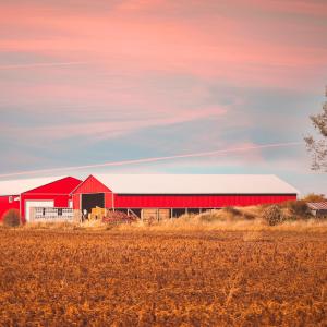 Farm with red barn