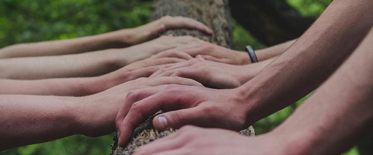 Hands holding a tree. Credit: Shane Rounce from Unsplash
