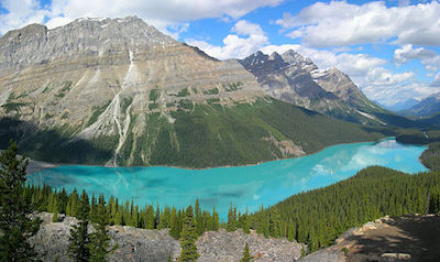 Payto Lake in Banff with mountains and trees