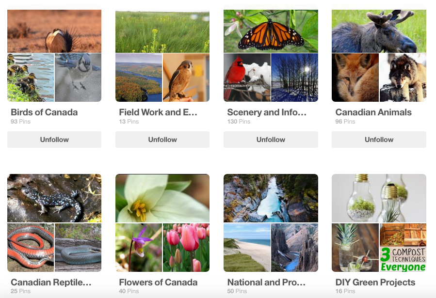 Nature Canada Pinterest board with animals
