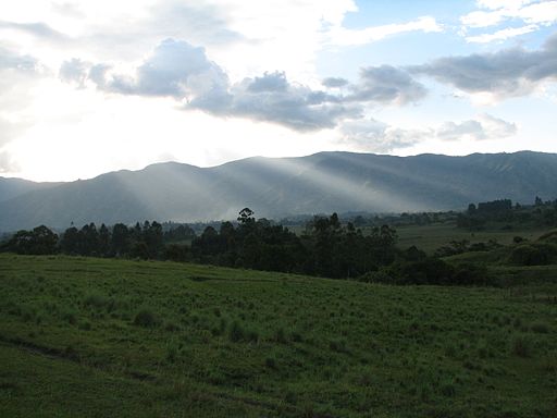 Rwenzori Mountain Range, Uganda