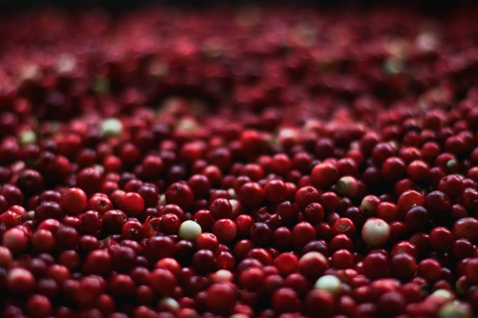 Tidmarsh Farms is rewilding their commercial cranberry bog. Herring can now swim through the stream and soon it will be the coastal wetland it once was.